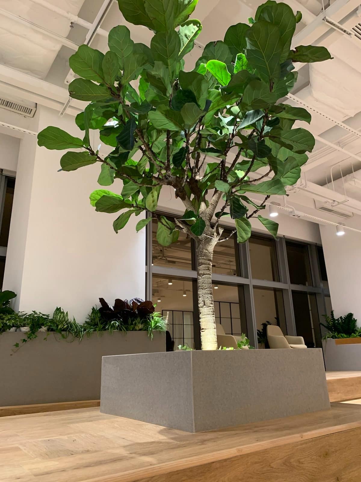 Green Tomato 商業室內設計案例16