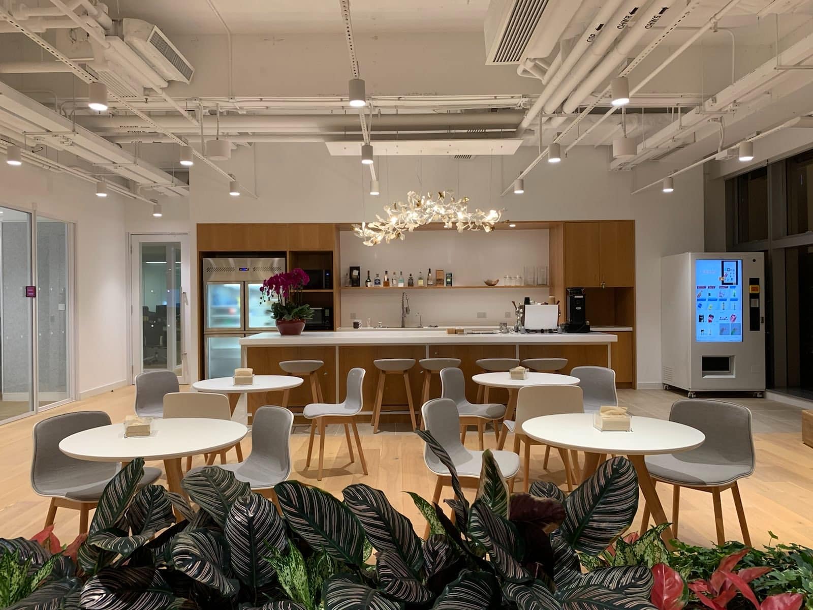 Green Tomato 商業室內設計案例18