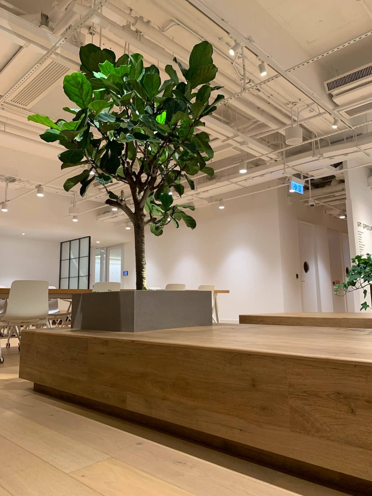 Green Tomato 商業室內設計案例20