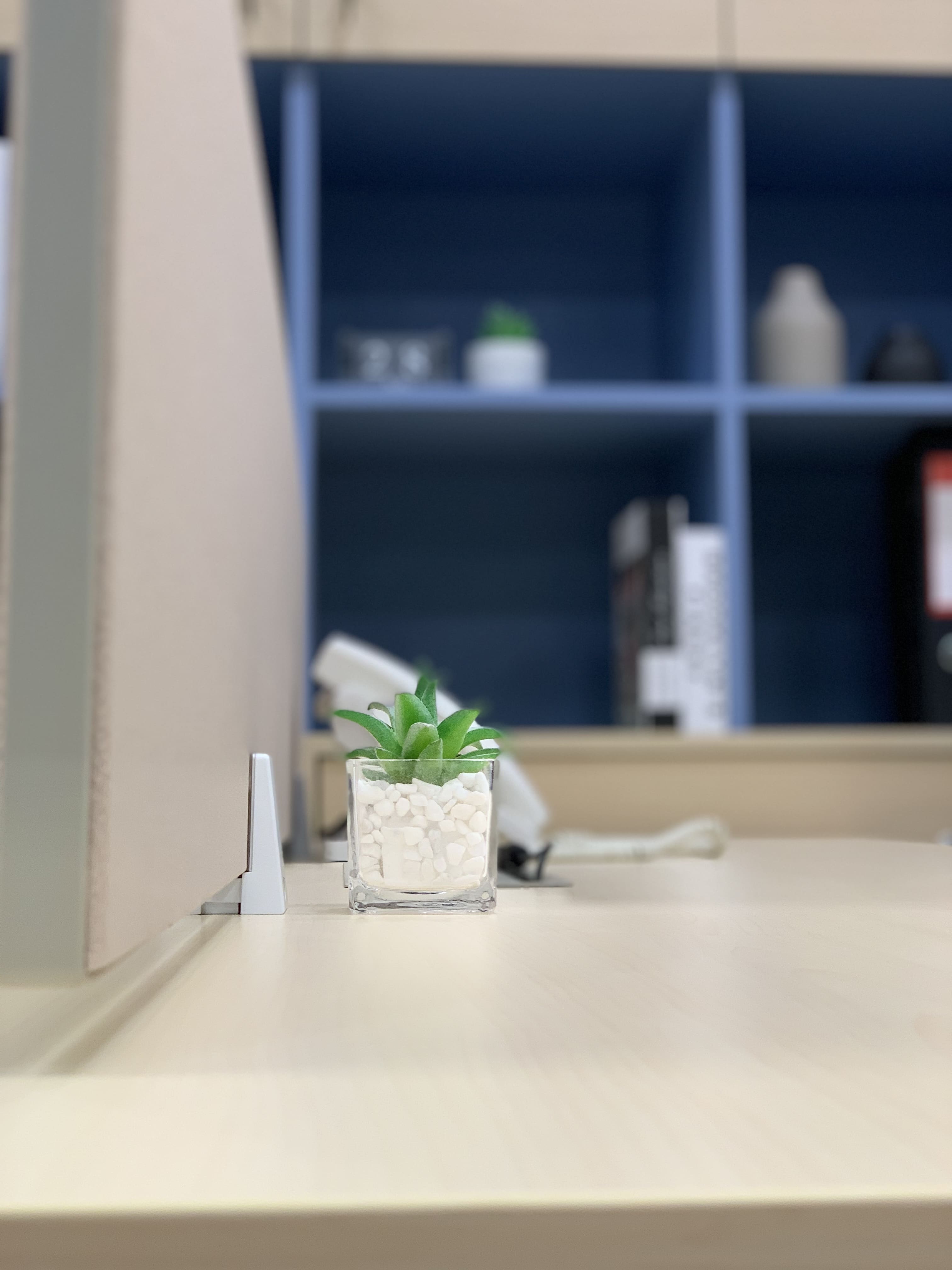 Photo 15-4-2020, 21 11 40