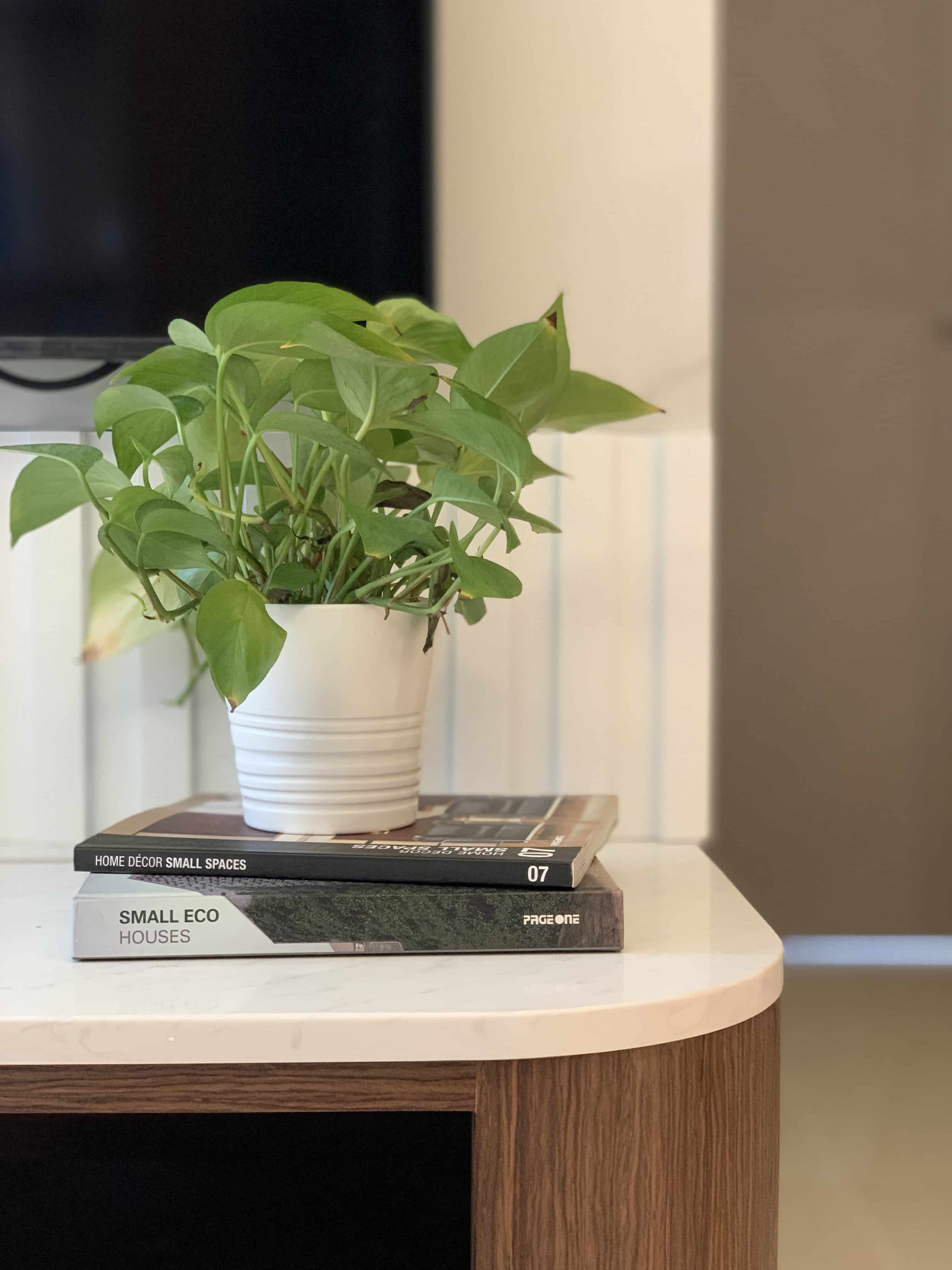 麗港城裝修及室內設計展示圖34